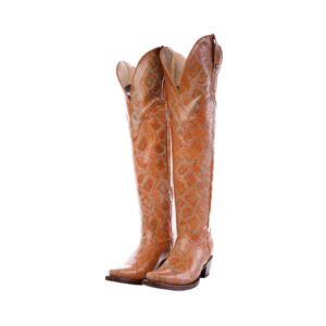 DV3022 Bota Puntal Grabado Anaconda Bronce-Azul