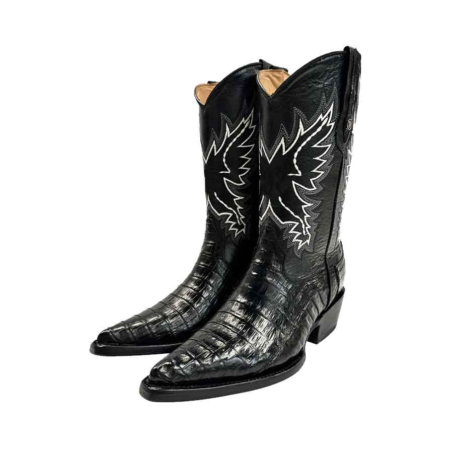 Bota-chihuahua-cola-coco-negro-2